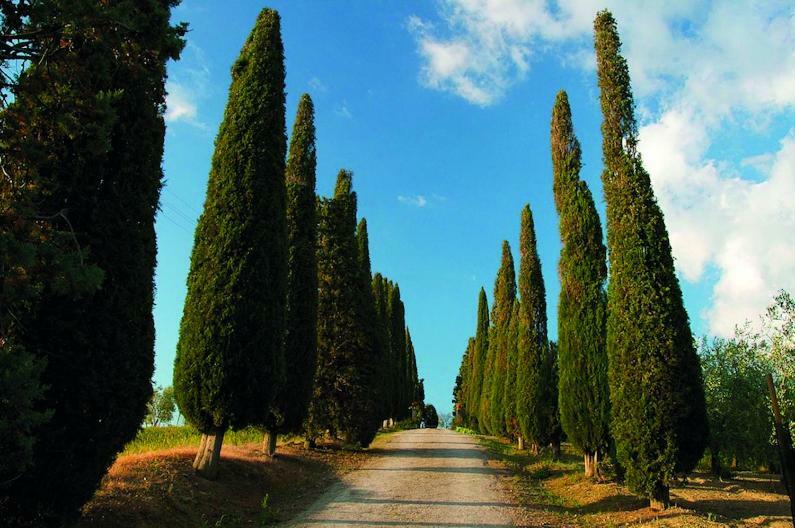 Le Traverse Pienza Esterno foto